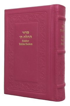 Siddur Annotated English Compact - Leather Blue